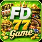 FD77 Game